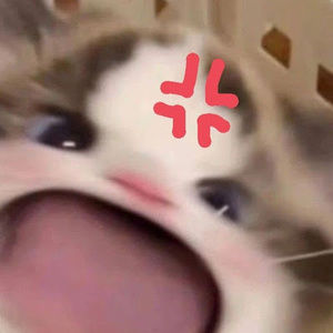 Meet your Posher, Trang